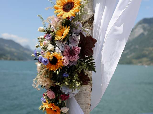 Blumen Vergissmeinnicht