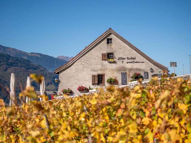 Alter Torkel - Huus vom Bündner Wii